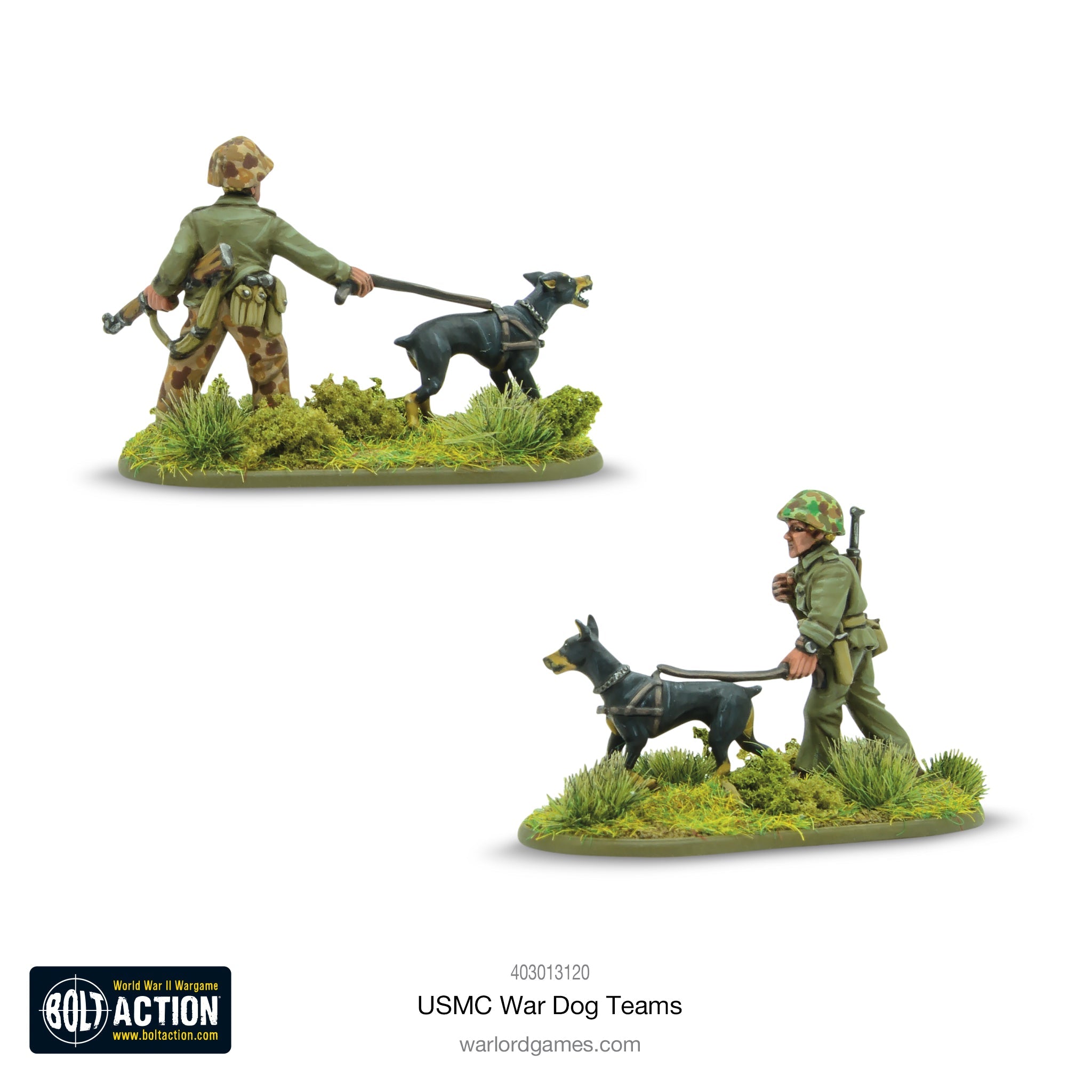 USMC War Dog Teams