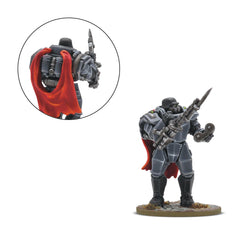 Axis All In Bundle