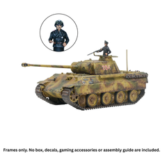 Panther - Frames Only