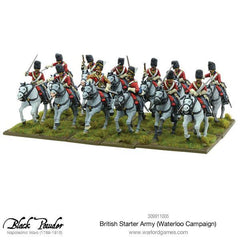 Napoleonic British starter army (Waterloo campaign)