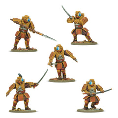 Konflikt '47 Empire of Japan Long Range Penetration Group