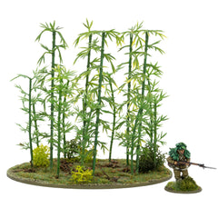 Japanese Bamboo Bushes