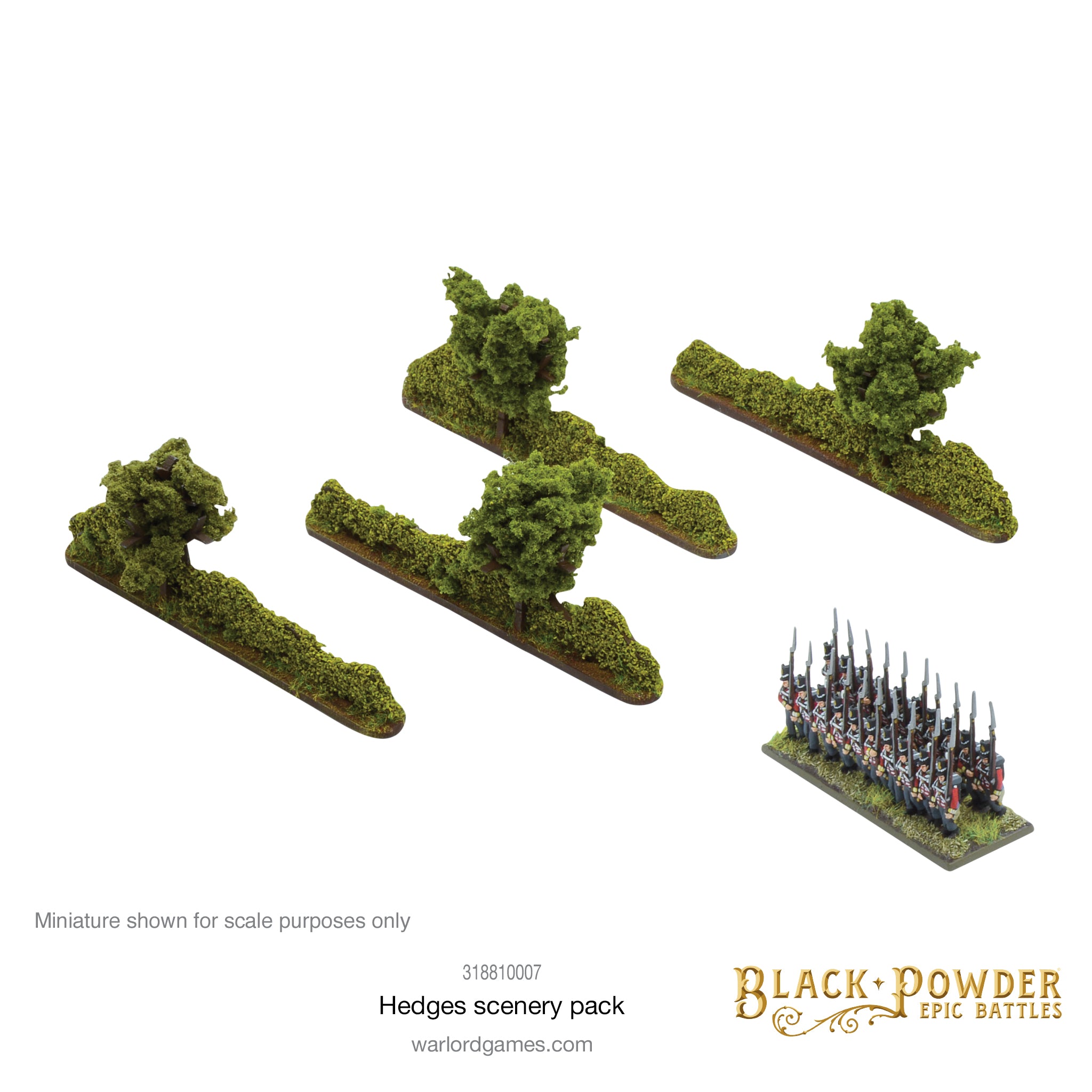 Black Powder Epic Battles: Hedges – Warlord Games US & ROW