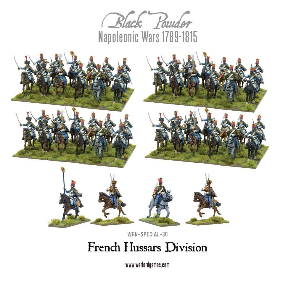 Napoleonic French Hussars Division