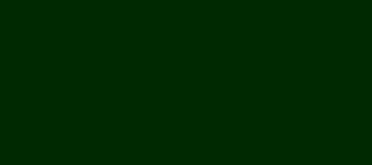 Model Colour 894 - Camo Olive Green